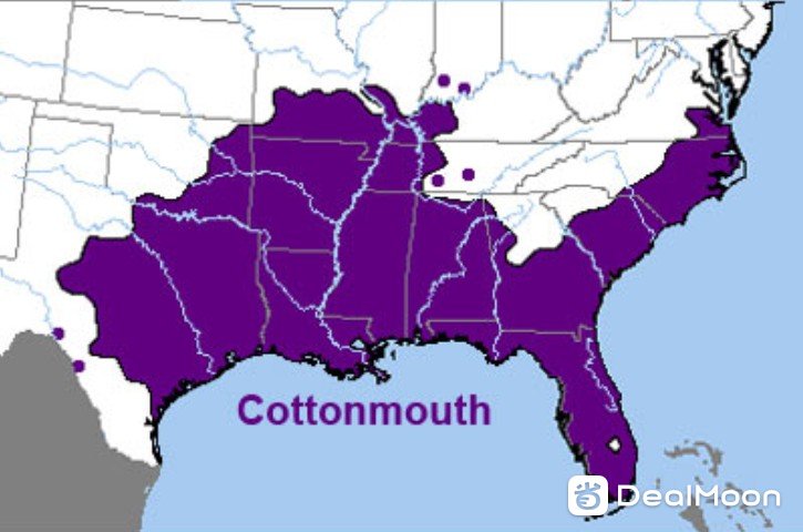 Cottonmouth 棉口蛇 美国分布图