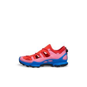 ECCO封面新款WOMEN'S BIOM C-TRAIL 运动鞋