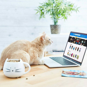Chewy Cat-Themed Drinkware on Sale