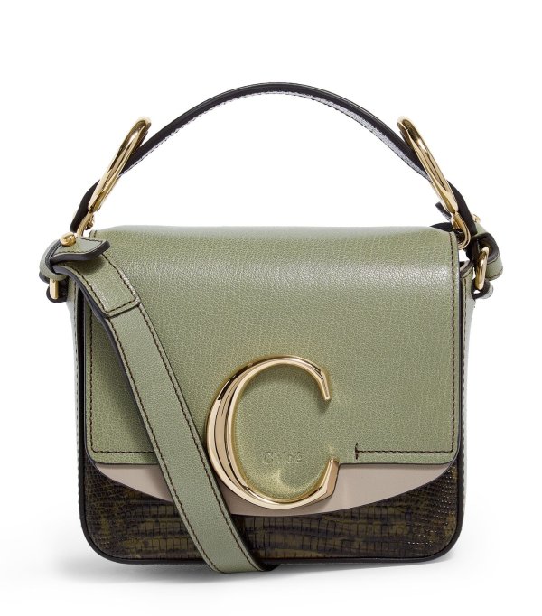 Mini Leather Chloe C Bag