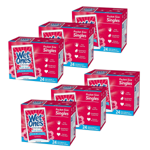Wet Ones Antibacterial Hand Wipes, Fresh Scent, 24 Individually Wrapped Wipes (Pack of 6)