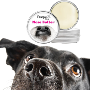 The Blissful Dog Dog Products on Sale