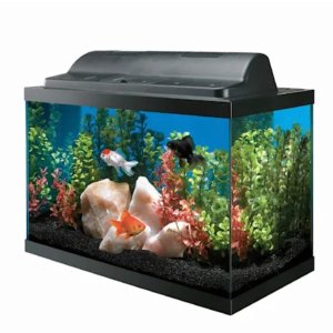 Aqueon Aquarium Kit 10 Gallon