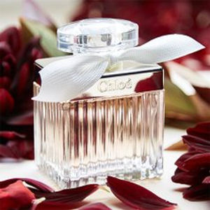 Zulily Best Selling Fragrances Hot Sale