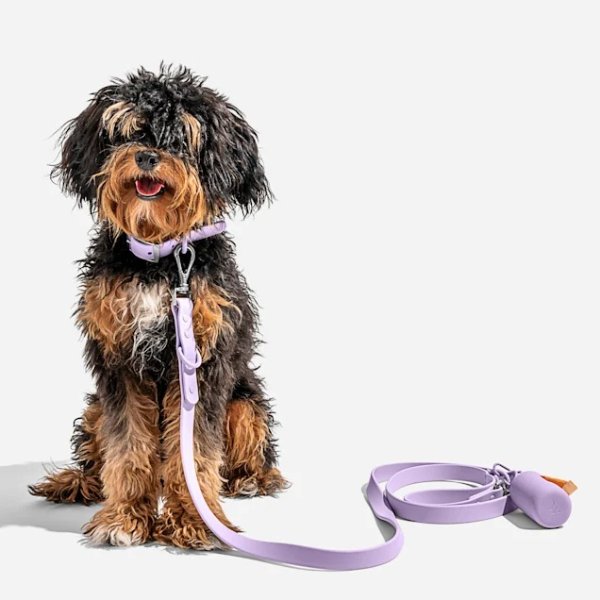 Lilac Dog Leash, 54" L | Petco