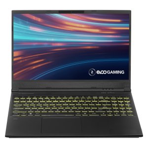 EVOO Gaming 15.6" Laptop (i5-10300H, 1650, 8GB, 256GB)