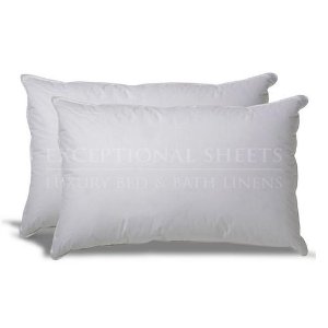 Set of 2 Down Alternative Hypoallergenic Pillow