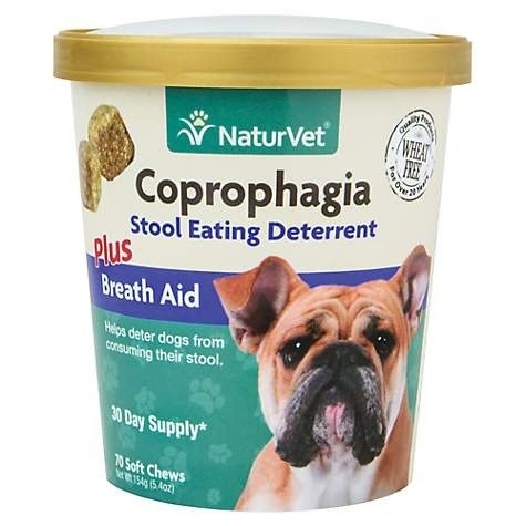 Coprophagia Stool Eating Deterrent Dog Chews | Petco