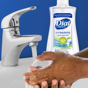 Dial Complete Foaming Antibacterial Hand Wash, Soothing White Tea, 7.5 Ounce
