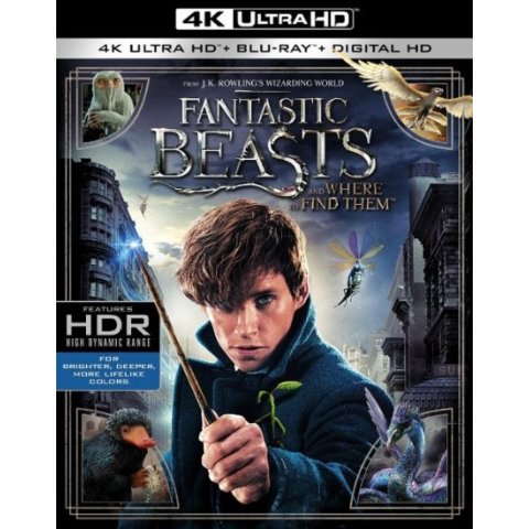 Fantastic Beasts and Where to Find Them 神奇动物 4K电影