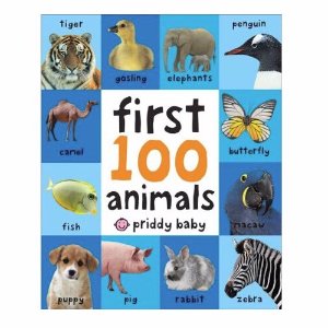 圣诞好礼：First 100 宝宝智力开发图书系列