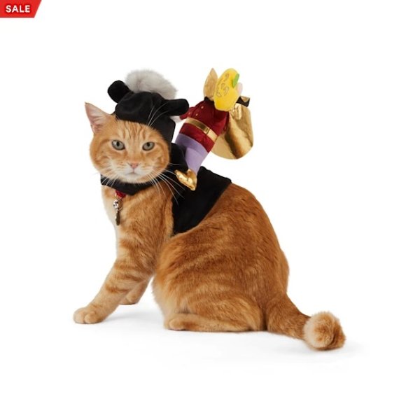 Bootique Headless Horseman Cat Costume | Petco