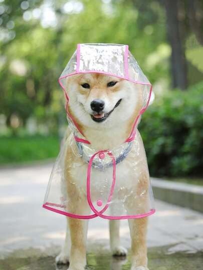透明宠物雨衣