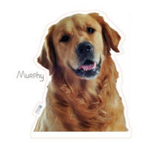 select pet products @ Fab