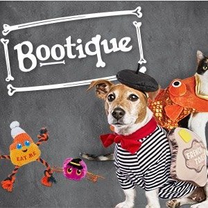超后一天：Petco 精选Bootique 宠物万圣节服饰、玩具促销