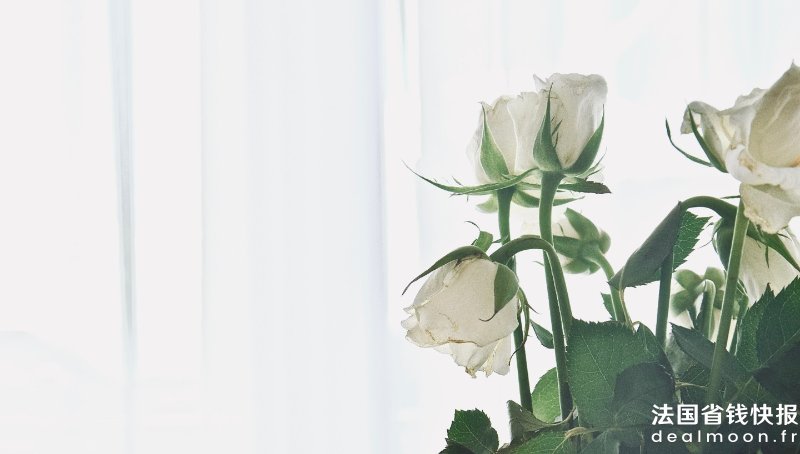 thea-hdc-XDCeQYYmQ3Y-unsplash