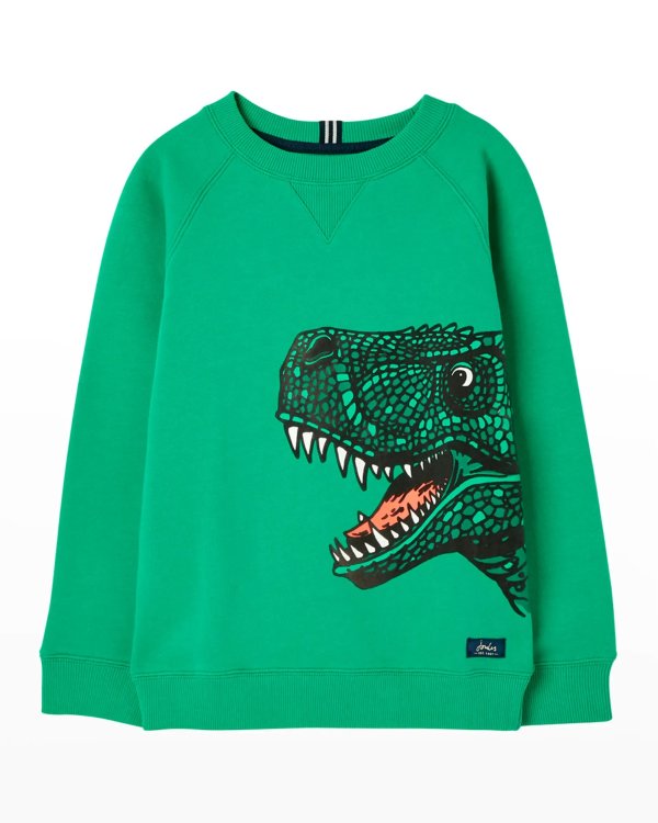 Boy's Ventura Dinosaur Graphic Sweatshirt, Size 2-6