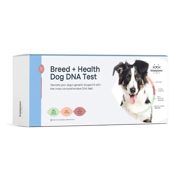​​Breed + Health Dog DNA Test