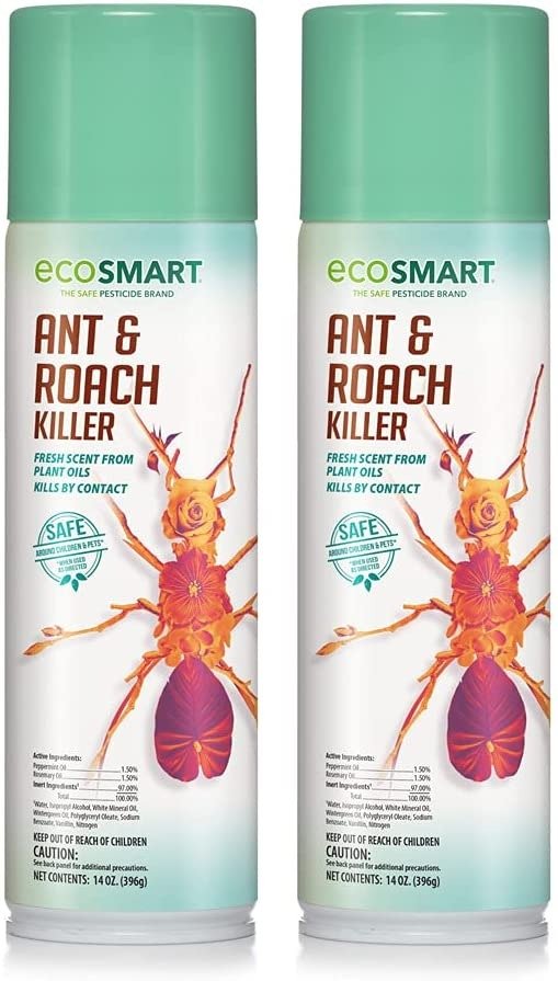 Natural, Plant-Based Ant and Roach Killer with Peppermint and Rosemary Oil, 14 Ounce Aerosol Spray Can (Pack of 2)