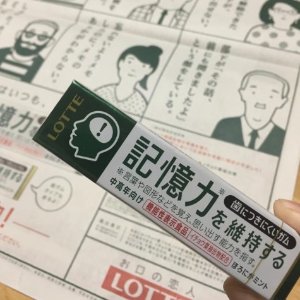 日本 Lotte 帮助维持记忆的口香糖 12粒 x 15条入