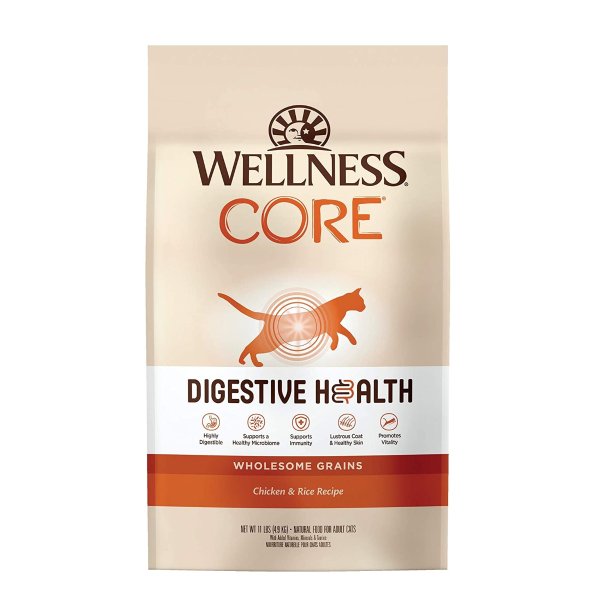 Digestive Health Wholesome Grains Chicken & Rice Recipe Dry Cat Food