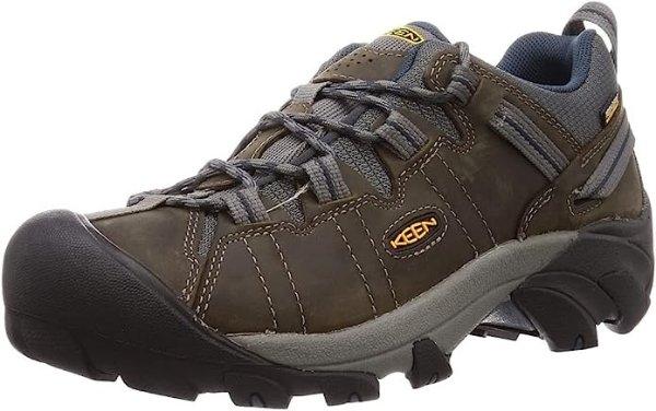 Men's Targhee 2 Low Height Waterproof Hiking Shoes
