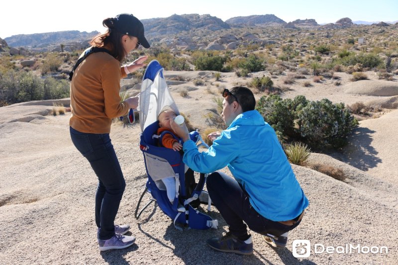 child_carrier.JPG