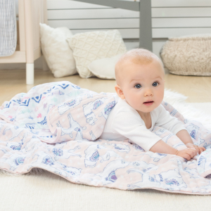 Today Only: aden + anais The Ultimate Baby Blanket