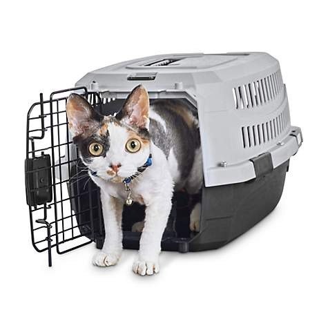 Standard Kennel for Dogs or Cats | Petco