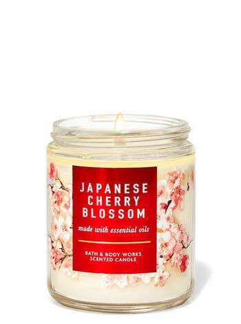 Japanese Cherry Blossom 