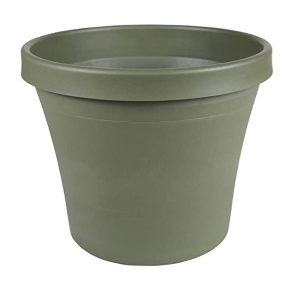 Terra Plastic Pot Planter 6" Living Green