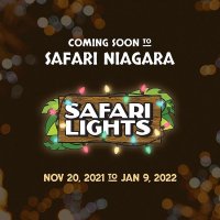 Safari Niagara野生动物园儿童票