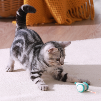 Petlibro 智能逗猫玩具（微众测）