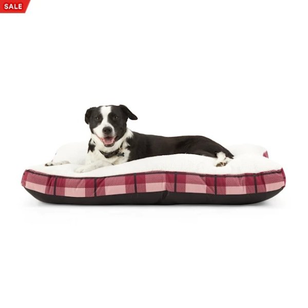 EveryYay Essentials Snooze Fest Burgundy Plaid Lounger Dog Bed, 30" L X 40" W X 4" H | Petco