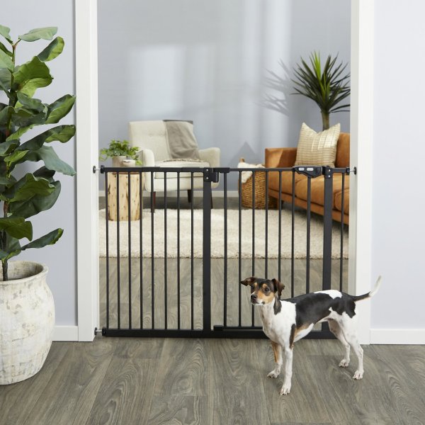 Extra Wide Auto-Close Pet Gate, 30-in, Black - Chewy.com