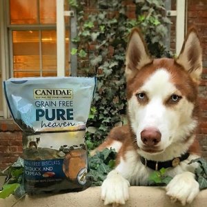 CANIDAE Grain Free PURE Dry Dog Food