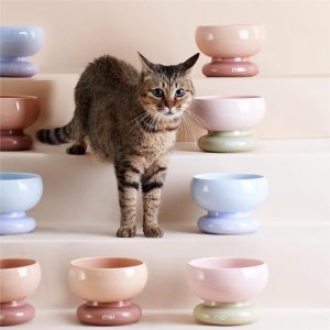 MS!MAKE SURE Pet feeder Bowl sale