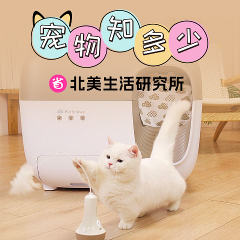 starting at $Automatic cat litter box