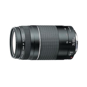 Canon佳能Zoom Telephoto EF 75-300mm远摄变焦单反相机镜头6473A003