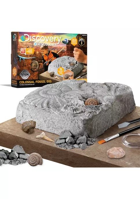 Toy Colossal Fossil Dig Excavation Kit - 15 Pieces