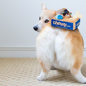Chewy Select Dog Products on Sale