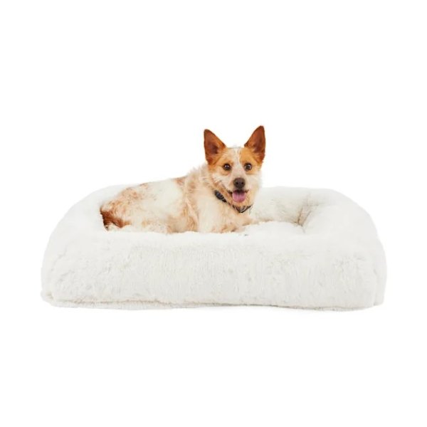 EveryYay Snooze Fest Cream Calming Bed for Dogs, 29" L X 39" W | Petco