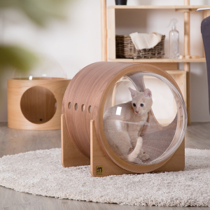 MyZoo Cat Furniture on Sale