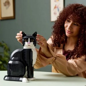 售价£89.99，6月1日上市新品预告：我滴喵啊！LEGO 新品燕尾服猫😽奶牛猫？即将上架