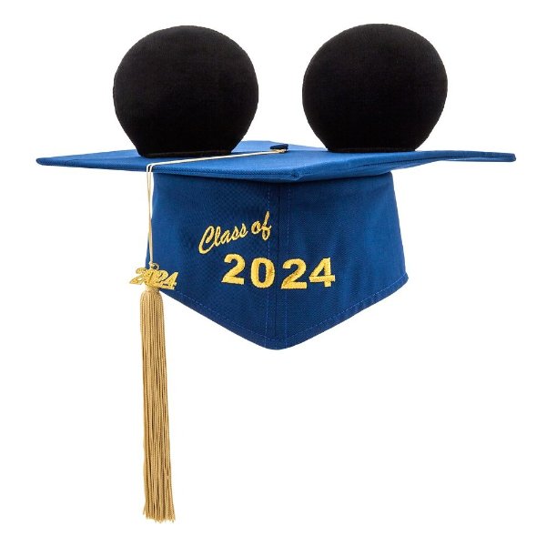 2024 毕业帽，成人码
