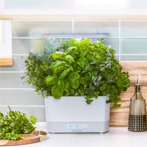 AeroGarden Harvest Indoor Garden with Gourmet Herb Seed Pod Kit