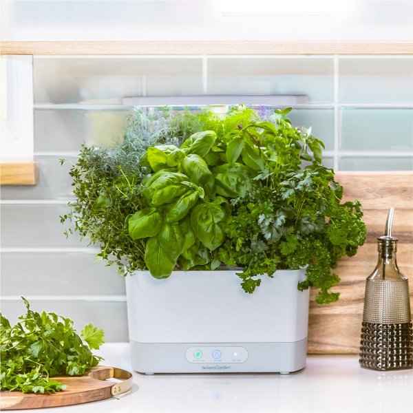 Harvest Indoor Garden with Gourmet Herb Seed Pod Kit