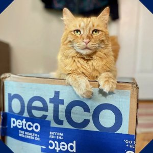 Petco 海量宠物日用品、玩具配饰等大促 运通6%返现