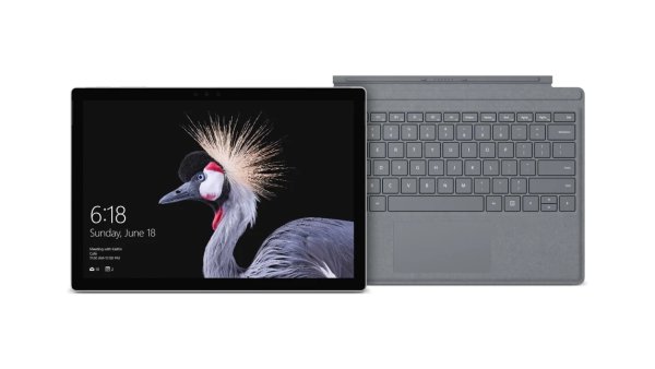 Surface Pro (5th Gen) + Platinum Signature Type Cover Bundle