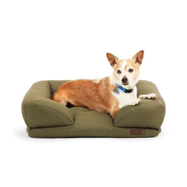Reddy Indoor/Outdoor Olive Dog Bed, 24" L X 18" W | Petco